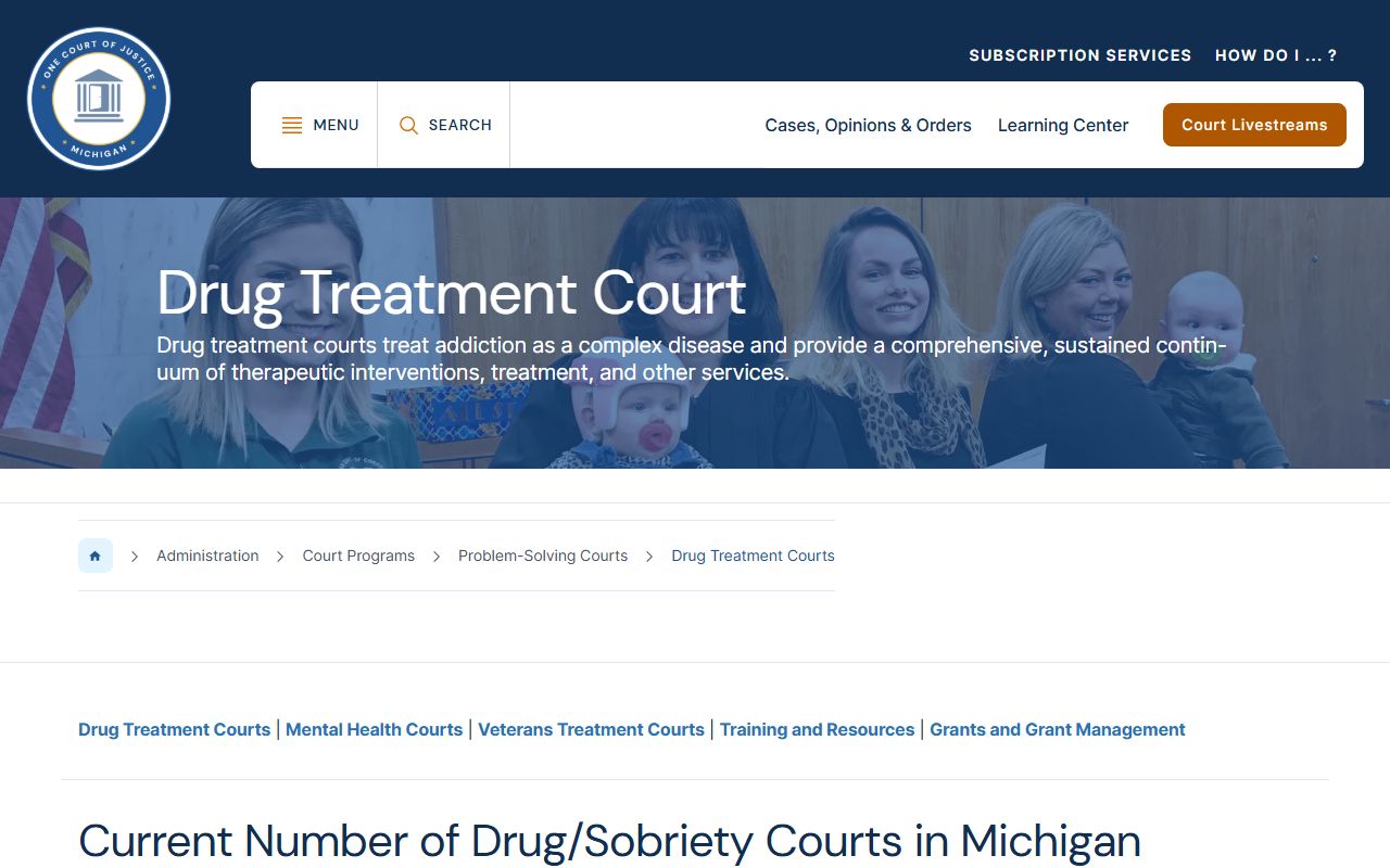 Oscoda County court charges and the Michigan drug-treatment problem-solving court program